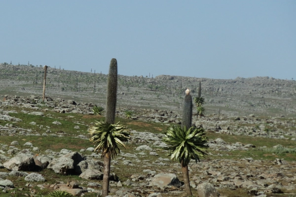 Natural Wonders & Landscapes